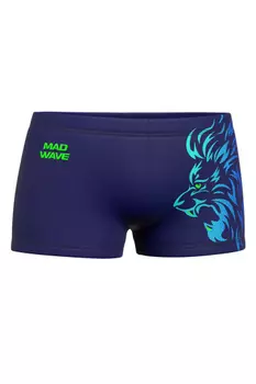 Мужские плавки-шорты Stalker HiClo R6