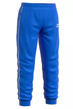 Мужские спортивные брюки Track pants