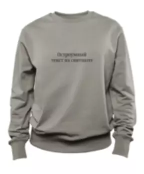 Свитшот с остроумным текстом