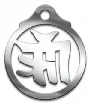 Амулет Щит от злых языков, (медсталь)