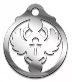 Амулет Скарабей, (медсталь)