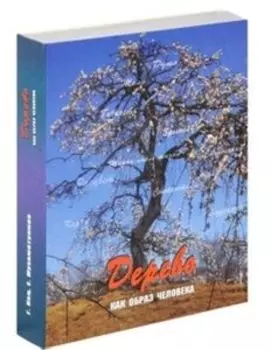 Дерево как образ человека