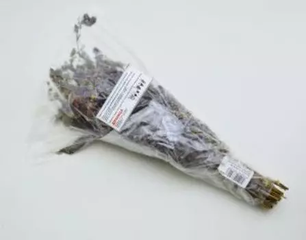 Душица для окуривания. Материнка, ладанка, духовой цвет, лесная мята, блошничник, костоломная трава