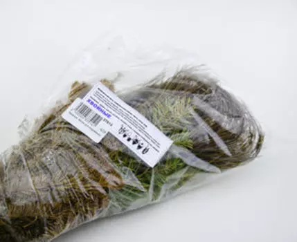 Хвойные. Ветви для окуривания