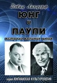 Юнг и Паули