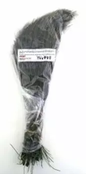 Кедр. Трава для окуривания