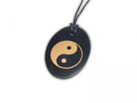 Кулон из шунгита Овал инь янь