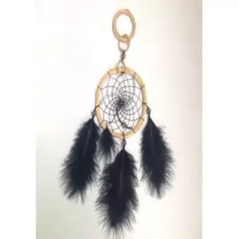 Ловец снов Полная луна