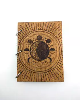 Лунный дневник