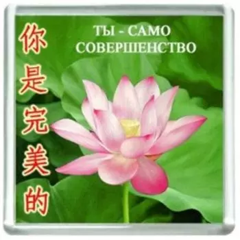 Магнит Ты - само совершенство