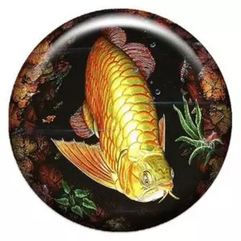 Объемный талисман-наклейка Аррована