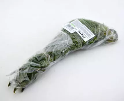 Пихта. Ветви для окуривания