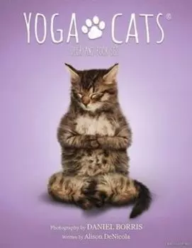 Yoga Cats Deck Book Set Йога Кошек