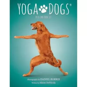 Yoga Dogs Challenges cards. Карты Йога собак
