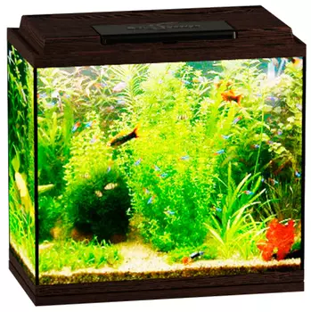 Аквариум Биодизайн Классик 40 венге (1 шт)