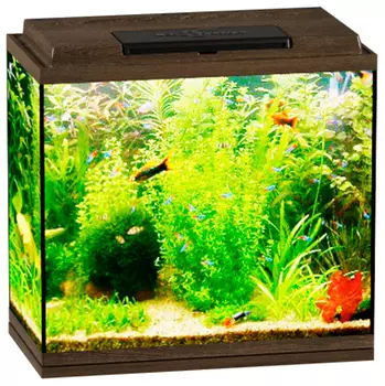 Аквариум Биодизайн Классик 40 золотой орех (1 шт)