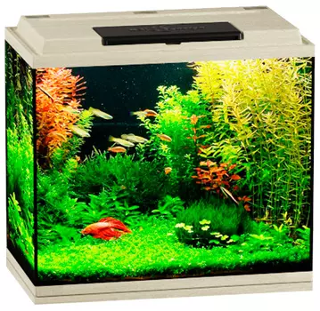 Аквариум Биодизайн Классик 50 беленый дуб (1 шт)