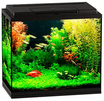 Аквариум Биодизайн Классик 50 черный (1 шт)
