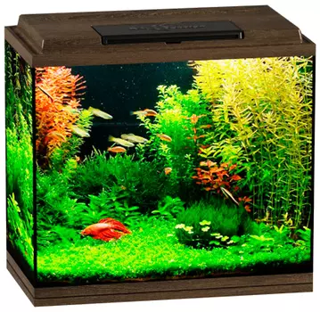Аквариум Биодизайн Классик 50 золотой орех (1 шт)