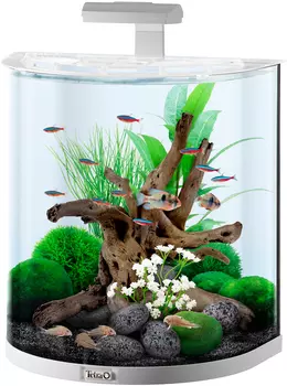 Аквариум дуговой Tetra Aquaart Explorer Line Tropical 60 литров 51 х 33 х 53 белый (1 шт)