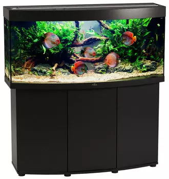 Аквариум и тумба Биодизайн Панорама 250 черный (Аквариум)