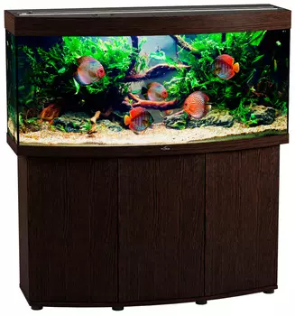 Аквариум и тумба Биодизайн Панорама 250 венге (Аквариум)