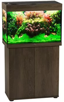 Аквариум и тумба Биодизайн Риф 110 золотой орех (Аквариум)