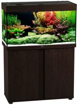 Аквариум и тумба Биодизайн Риф 160 венге (Тумба)