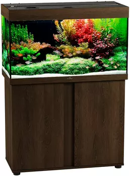 Аквариум и тумба Биодизайн Риф 160 золотой орех (Аквариум)