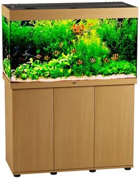 Аквариум и тумба Биодизайн Риф 240 бук (Аквариум)