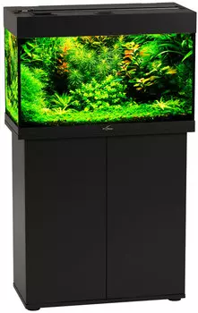 Аквариум и тумба Биодизайн Риф 80 черный (Тумба)