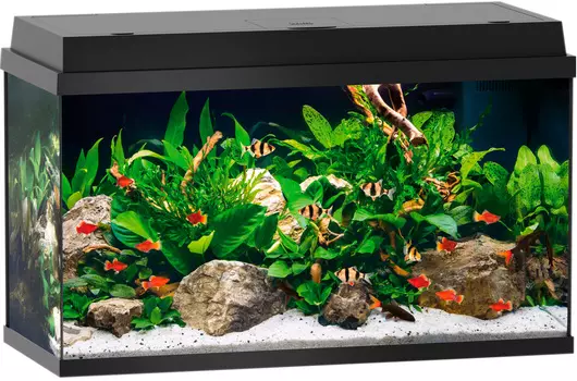 Аквариум Juwel Primo 110 Led 1х10,5W Bioflow Super нагреватель 100w 81х36х45 черный (1 шт)