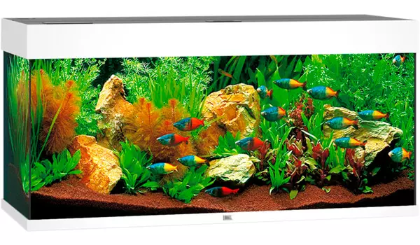 Аквариум Juwel Rio 180 Led 2х23W Bioflow M нагреватель 200w 101х41х50 белый (1 шт)