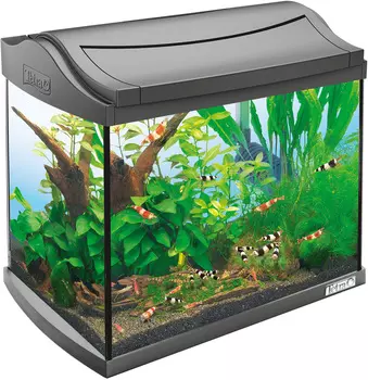 Аквариум Tetra Aquaart Shrimps Discover Line 20 литров 39 x 27,5 x 32 см антрацит (1 шт)