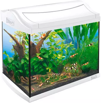 Аквариум Tetra Aquaart Shrimps Discover Line 20 литров 39 x 27,5 x 32 см белый (1 шт)