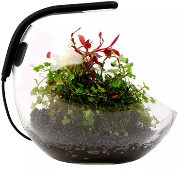 Аквариумный декоративный набор Wabi Set 8 литров (1 шт)