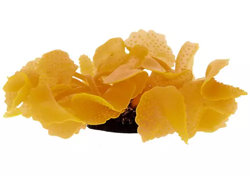 Декор для аквариума Коралл силиконовый Vitality красный 5,5 х 5,5 х 12 см (1 шт)