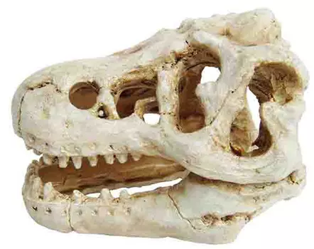 Декорация для аквариума Prime Череп динозавра 8,5 x 6 x 6 см (1 шт)