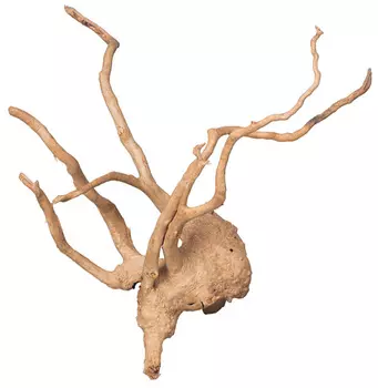 Декорация для аквариума Prime Коряга сакура M 30 – 60 см (1 шт)