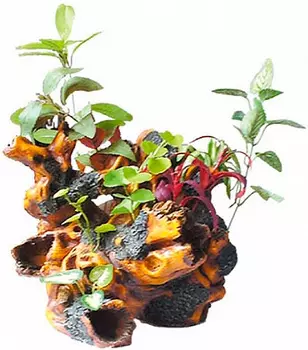 Декорация Коряга с растениями U-284 Kw для аквариума 27,5 х 24 х 24,5 см (1 шт)