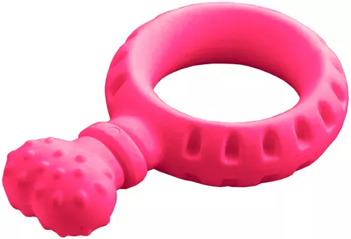 Игрушка для собак Triol Aroma Прорезыватель термопластичная резина 14 см (1 шт)