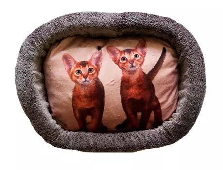 Лежак для кошек PerseiLine Дизайн № 6 принт 11 овальный 67 х 49 х 16 см (1 шт)