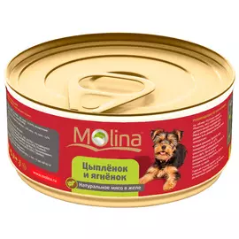 Molina для взрослых собак с цыпленком и ягненком в желе (85 гр)
