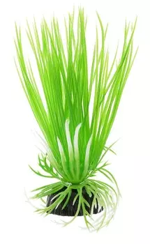 Растение для аквариума пластиковое Акорус зеленый, Barbus, Plant 007 (30 см)