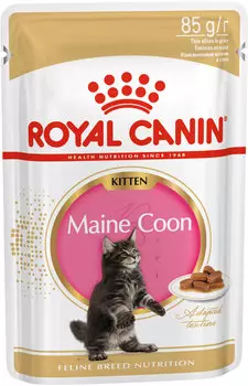 Royal Canin Maine Coon Kitten для котят мэйн кун в соусе (85 гр х 12 шт)
