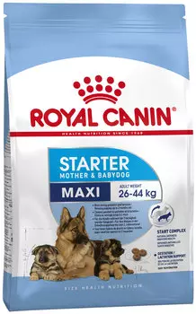 Royal Canin Maxi Starter для щенков крупных пород до 2 месяцев, беременных и кормящих сук (4 кг)