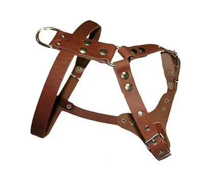 Шлейка для собак № 0 водильная кожаная коньячная 70 - 87 см x 25 мм Аркон (1 шт)