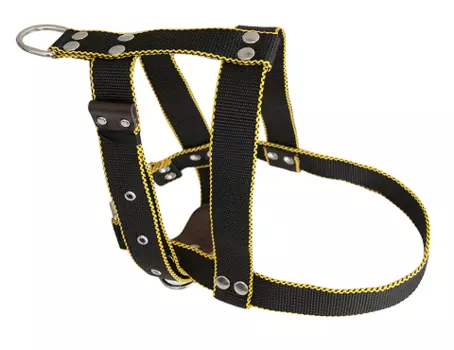 Шлейка для собак 35 мм Зооник капроновая лента большая (1 шт)