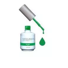 99 perfect match (dw139) "lily pad