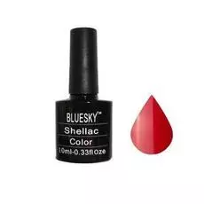 Bluesky shellac 40508